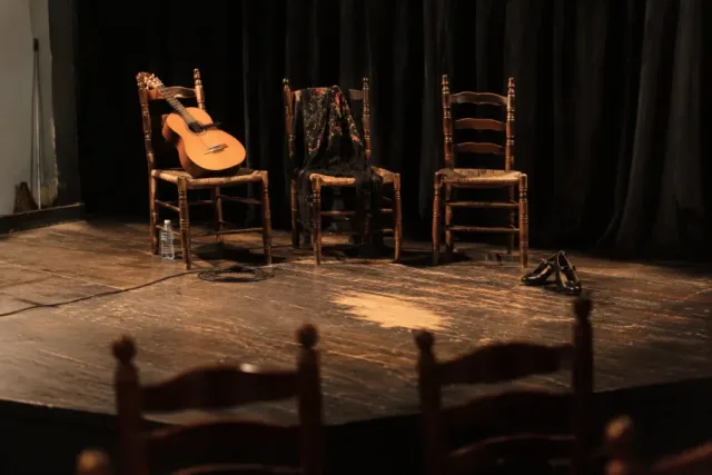 Flamenco cada noche: pase doble