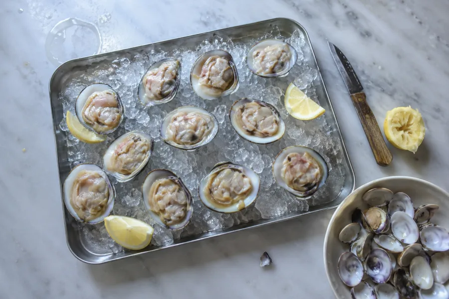 Smooth clam days