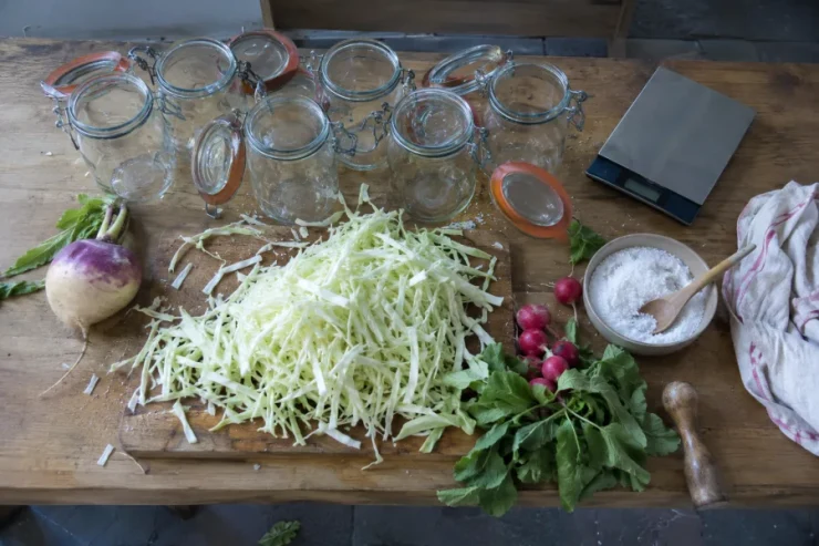 Taller de fermentados de la huerta